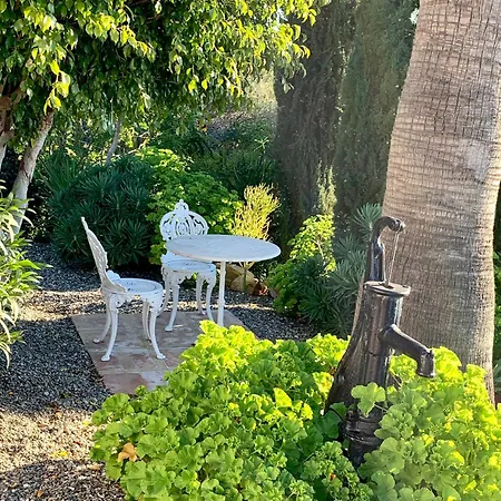 Casa Mimosa *